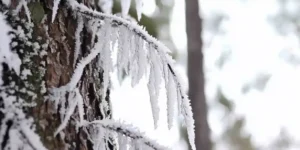 Žiemos priežiūra: apsauga nuo šalčio ir odos barjero palaikymas